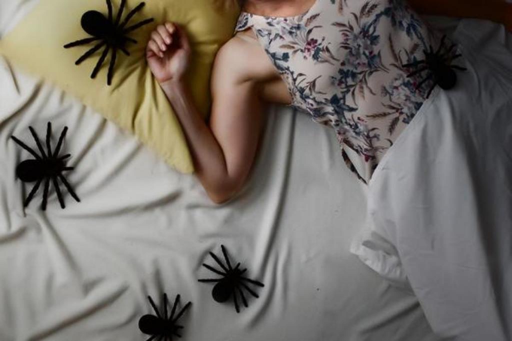 паук в кровати измена