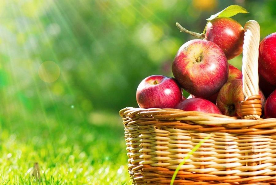 Яблочный Спас: традиции, обряды, ритуалы и приметы праздника